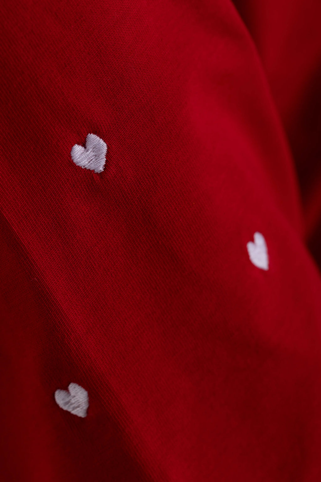 OVERSIZED TODO SE CONVIRTIO EN AMOR - BORDADA EN MANGAS|